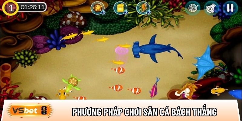 Tổng hợp các phương pháp chơi săn cá bách chiến, bách thắng